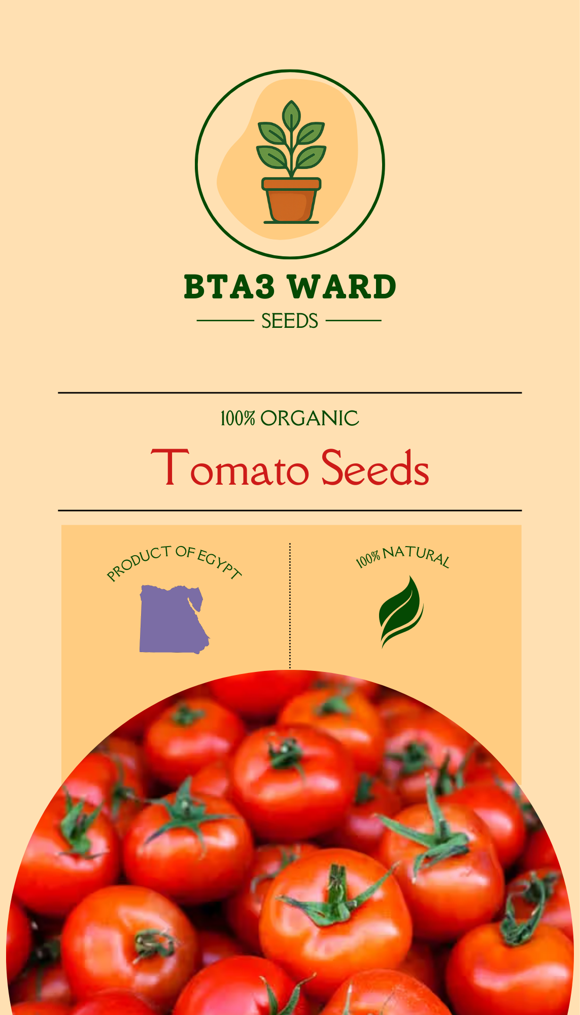 Tomato Seeds
